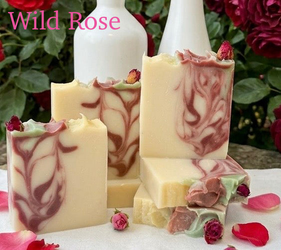 Wild Rose